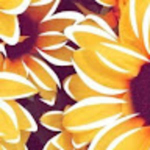 Meet your Posher, Gracie